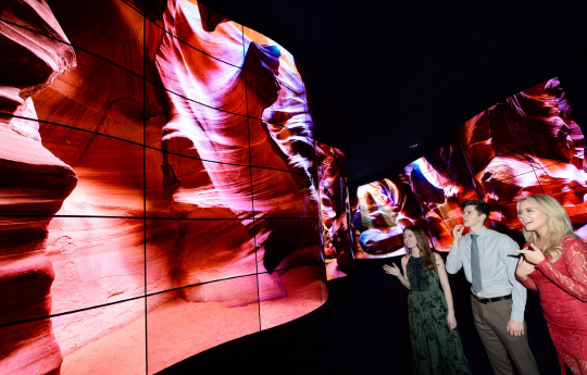 LG전자가 'CES 2018' 전시장 입구에 유기발광다이오드(OLED) 패널로 만든 'OLED 협곡'을 회사 모델들이 바라보고 있다.  LG전자 제공